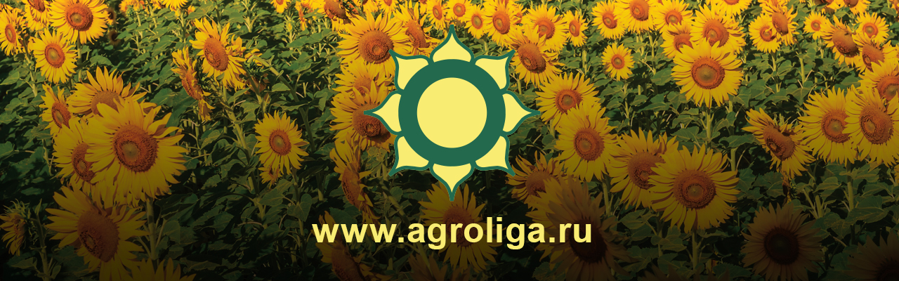 ГК «Агролига России»